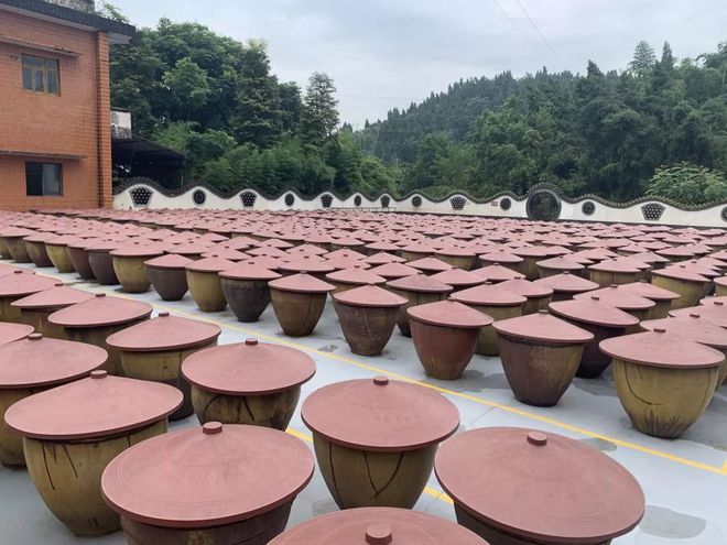 臨江寺豆瓣保衛戰 老字號調味品的傳承與堅守